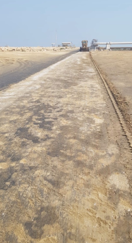 Skid Roads: